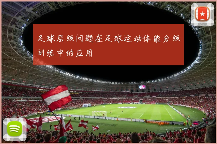 足球层级问题在足球运动体能分级训练中的应用