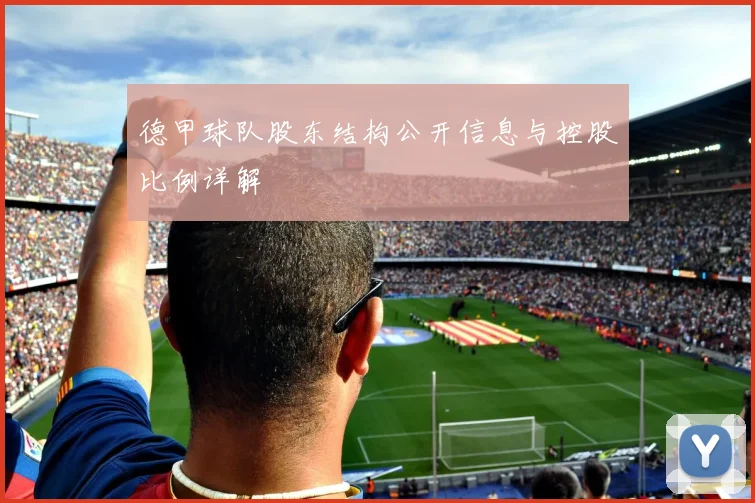 德甲球队股东结构公开信息与控股比例详解