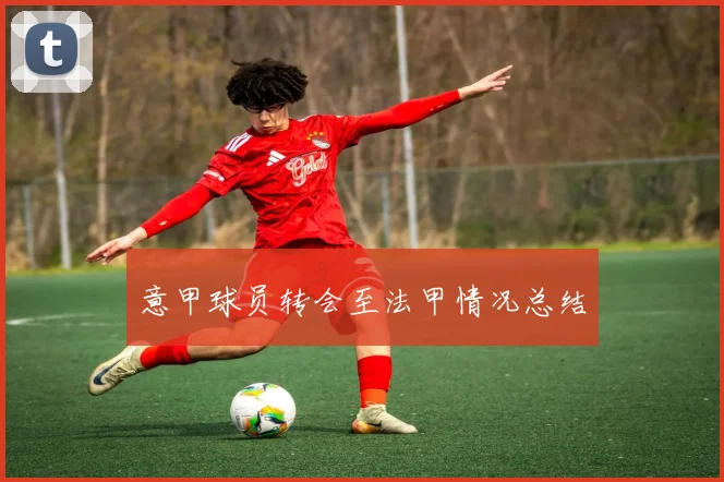 意甲球员转会至法甲情况总结