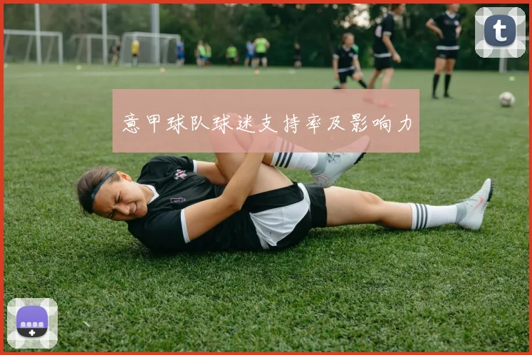 意甲球队球迷支持率及影响力